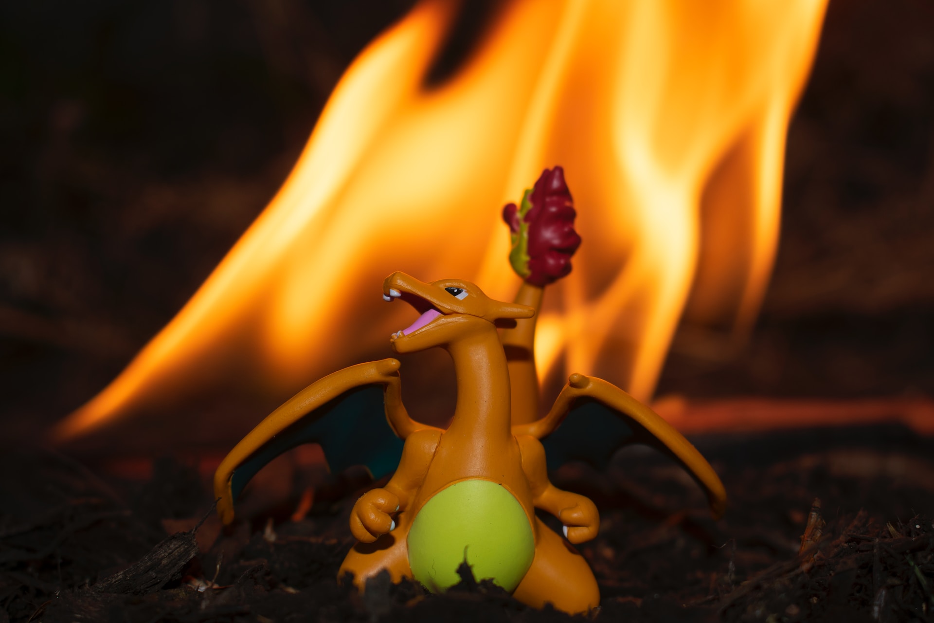 Quelles sont les caractéristiques des cartes Pokémon de collection les plus populaires ?