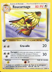 Roucarnage 24 — Jungle