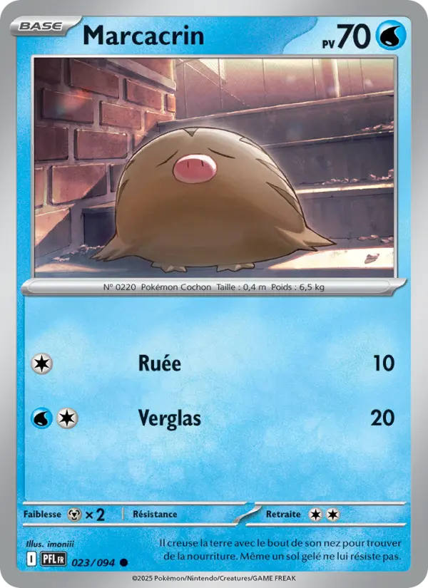 Scan HD carte Pokémon Marcacrin 023/94 — Flammes Fantasmagoriques