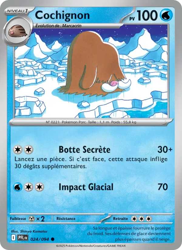 Scan HD carte Pokémon Cochignon 024/94 — Flammes Fantasmagoriques