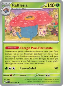 Rafflesia 045 — 151