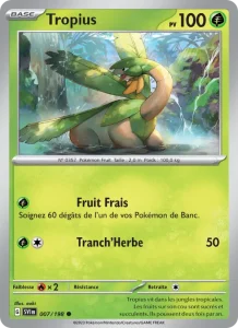 Carte Pokémon Tropius 007/198