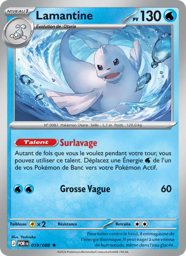 Scan HD carte Pokémon Lamantine 019/88 — Équilibre Parfait