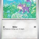 Rattata 060 — Équilibre Parfait
