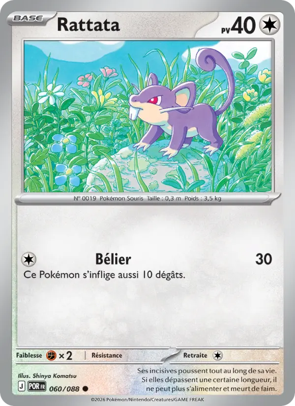 Scan HD carte Pokémon Rattata 060/88 — Équilibre Parfait