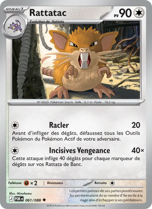 Scan HD carte Pokémon Rattatac 061/88 — Équilibre Parfait