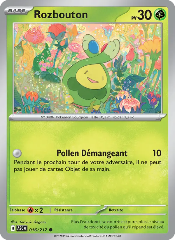 Scan HD carte Pokémon Rozbouton 016/217 — Héros Transcendants