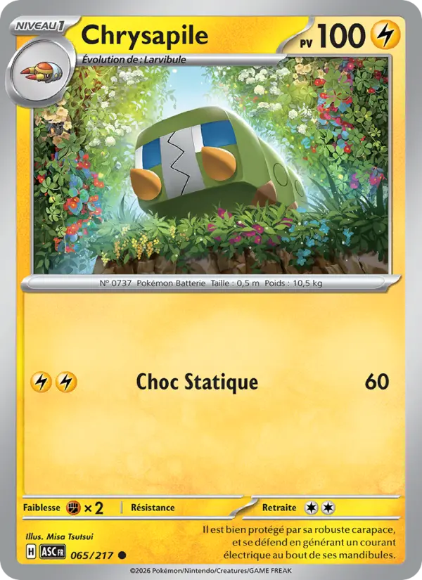Scan HD carte Pokémon Chrysapile 065/217 — Héros Transcendants