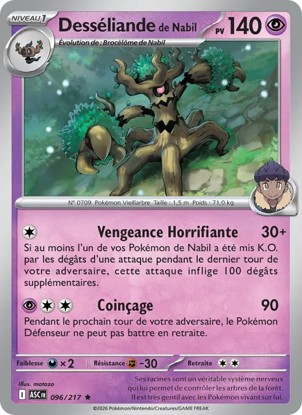 Scan HD carte Pokémon Desséliande de Nabil 096/217 — Héros Transcendants