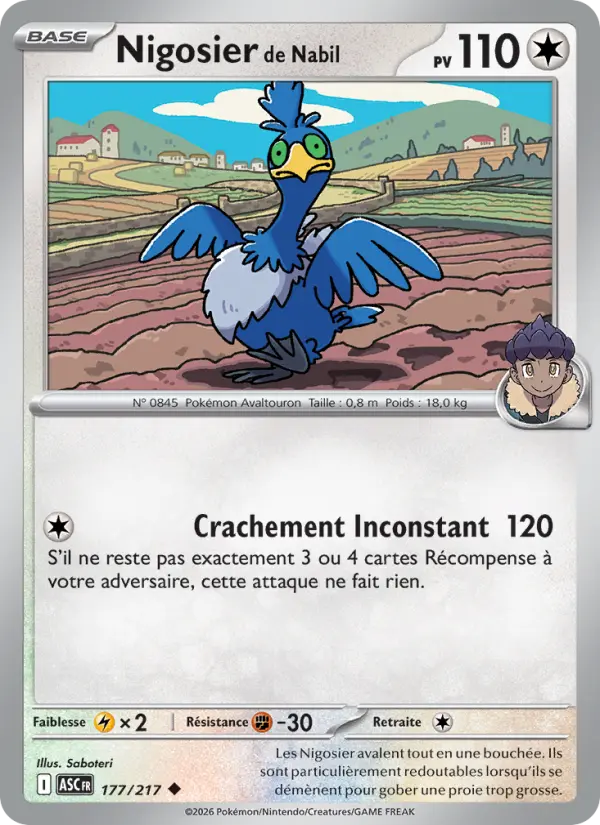Scan HD carte Pokémon Nigosier de Nabil 177/217 — Héros Transcendants