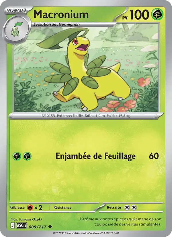 Scan HD carte Pokémon Macronium 009/217 — Héros Transcendants