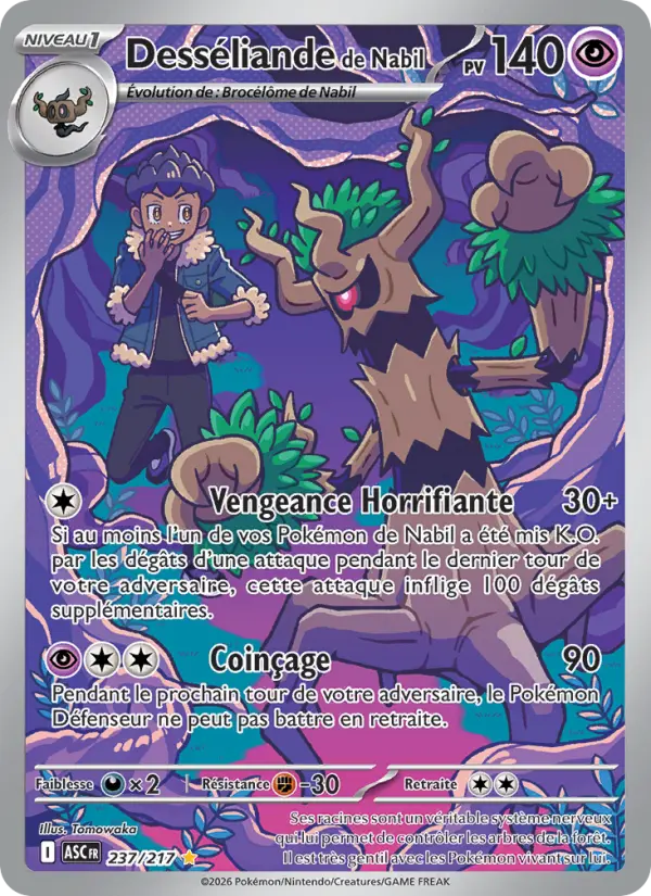 Scan HD carte Pokémon Desséliande de Nabil 237/217 — Héros Transcendants