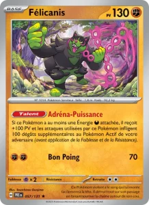Félicanis 057 — Évolutions Prismatiques