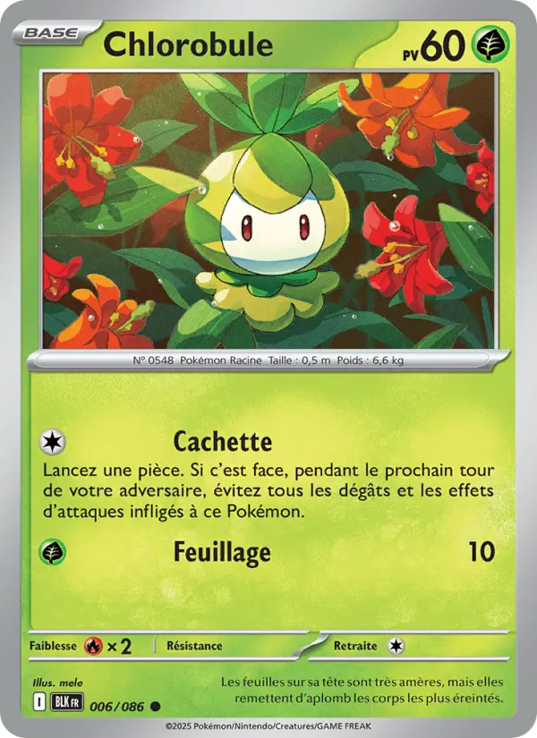 Scan HD carte Pokémon Chlorobule 006/86 — Foudre Noire