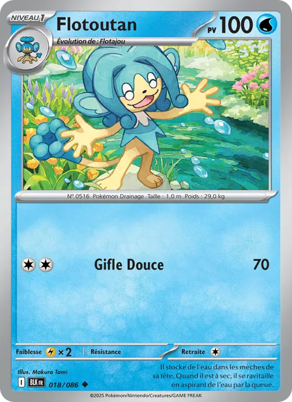 Scan HD carte Pokémon Flotoutan 018/86 — Foudre Noire
