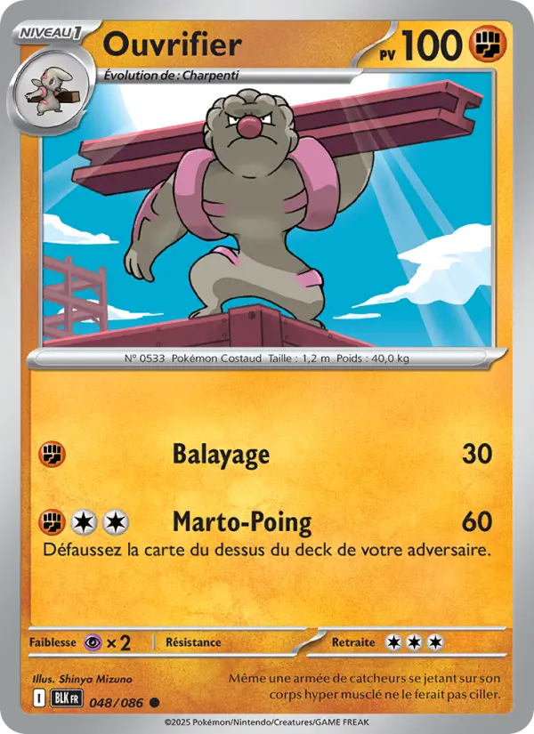 Scan HD carte Pokémon Ouvrifier 048/86 — Foudre Noire