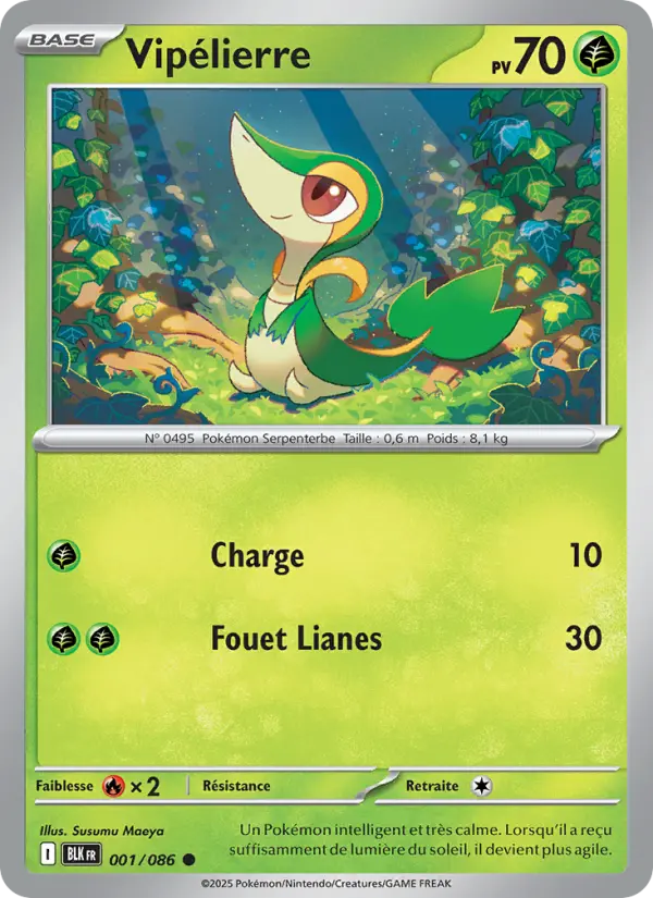 Scan HD carte Pokémon Vipélierre 001/86 — Foudre Noire