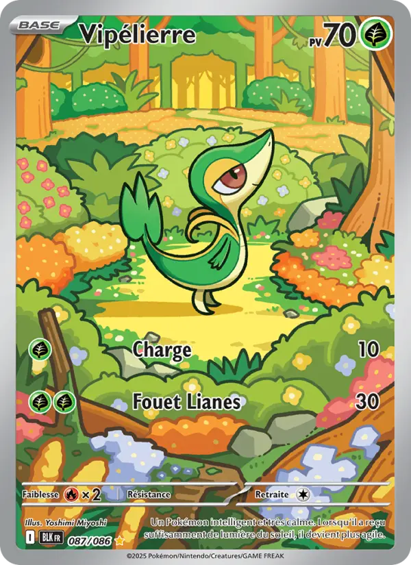 Scan HD carte Pokémon Vipélierre 087/86 — Foudre Noire