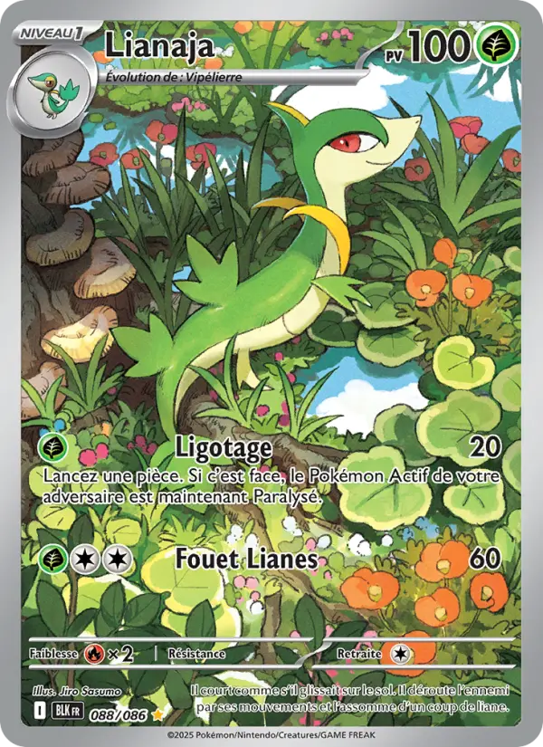 Scan HD carte Pokémon Lianaja 088/86 — Foudre Noire