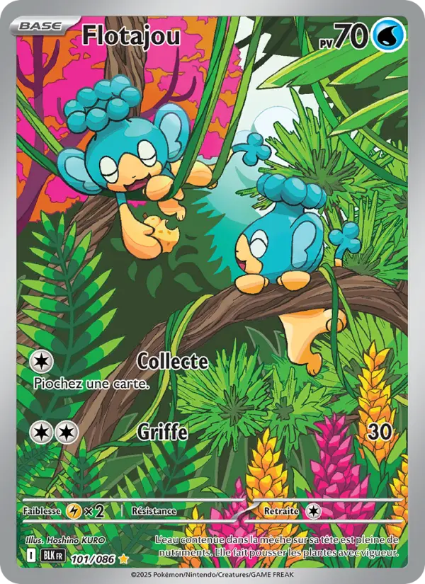 Scan HD carte Pokémon Flotajou 101/86 — Foudre Noire