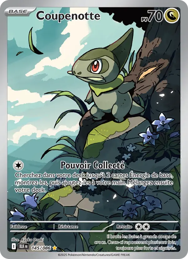 Scan HD carte Pokémon Coupenotte 145/86 — Foudre Noire