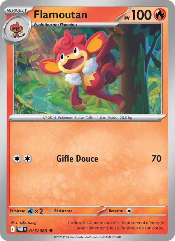 Scan HD carte Pokémon Flamoutan 015/86 — Flamme Blanche