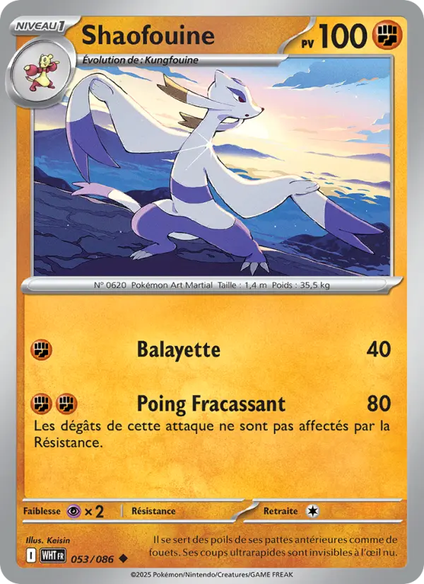 Scan HD carte Pokémon Shaofouine 053/86 — Flamme Blanche