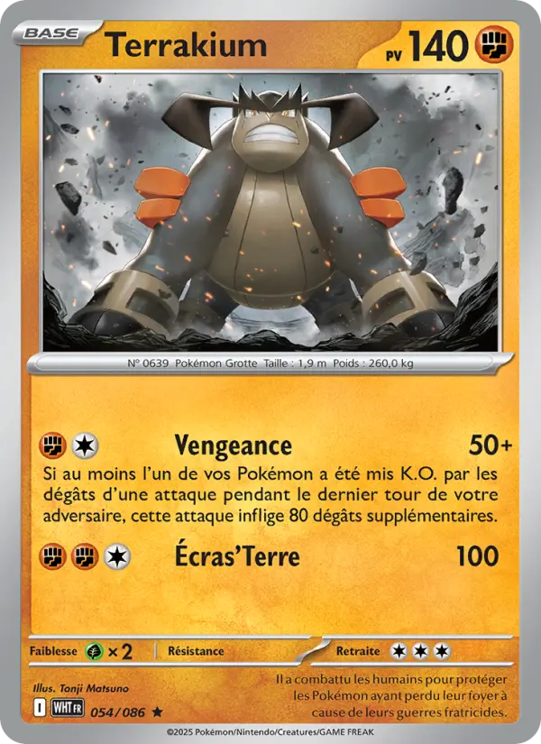 Scan HD carte Pokémon Terrakium 054/86 — Flamme Blanche