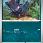 Zorua 061 — Flamme Blanche