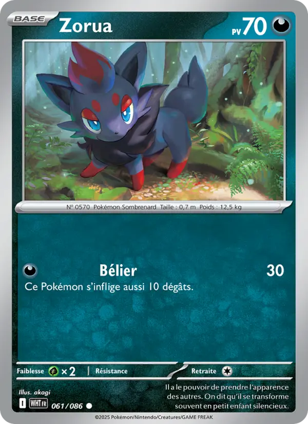Scan HD carte Pokémon Zorua 061/86 — Flamme Blanche