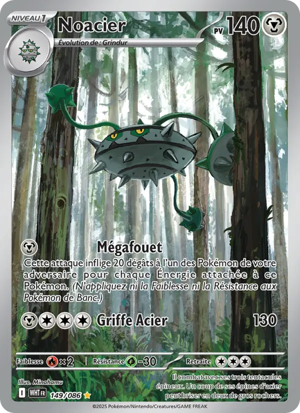 Scan HD carte Pokémon Noacier 149/86 — Flamme Blanche
