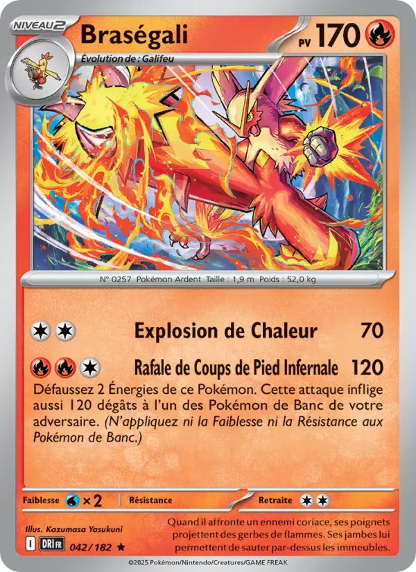 Scan HD carte Pokémon Braségali 042/182 — Rivalités Destinées