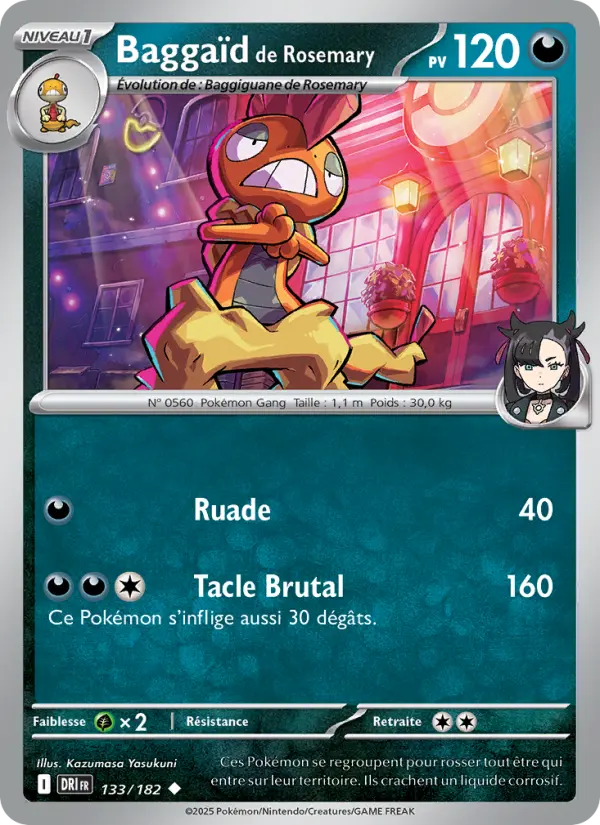 Scan HD carte Pokémon Baggaïd de Rosemary 133/182 — Rivalités Destinées
