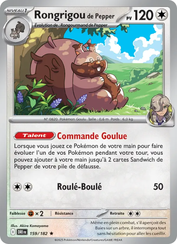 Scan HD carte Pokémon Rongrigou de Pepper 159/182 — Rivalités Destinées