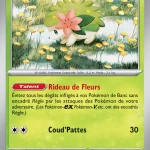 Shaymin 010 — Rivalités Destinées