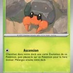 Crabicoque 011 — Rivalités Destinées