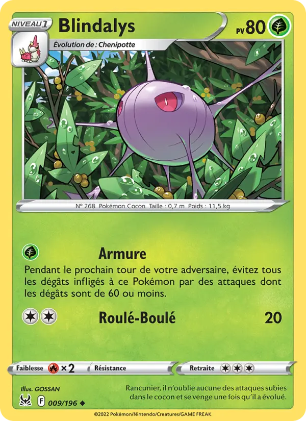 Scan HD carte Pokémon Blindalys 009/196 — Origine Perdue