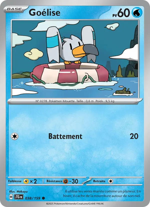 Scan HD carte Pokémon Goélise 038/159 — Aventures Ensemble