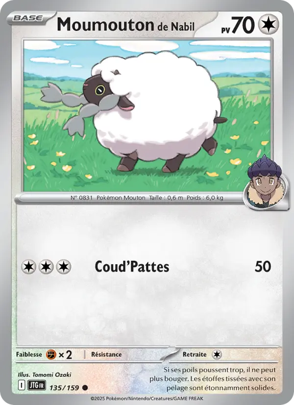 Scan HD carte Pokémon Moumouton de Nabil 135/159 — Aventures Ensemble