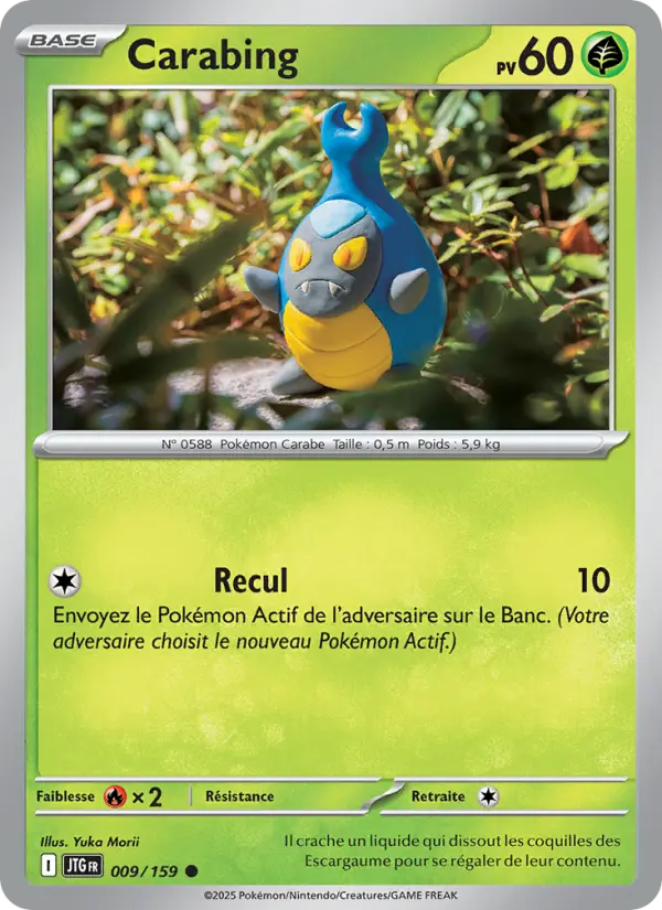 Scan HD carte Pokémon Carabing 009/159 — Aventures Ensemble