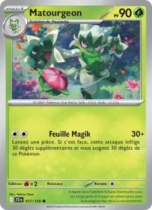 Matourgeon 017 — Aventures Ensemble