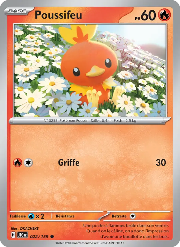 Scan HD carte Pokémon Poussifeu 022/159 — Aventures Ensemble