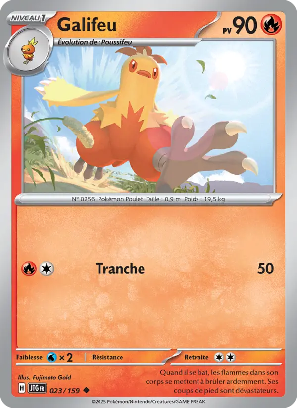 Scan HD carte Pokémon Galifeu 023/159 — Aventures Ensemble