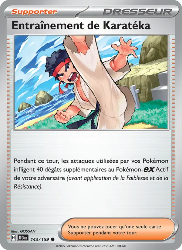 Scan HD carte Pokémon Entraînement de Karatéka 143/159 — Aventures Ensemble