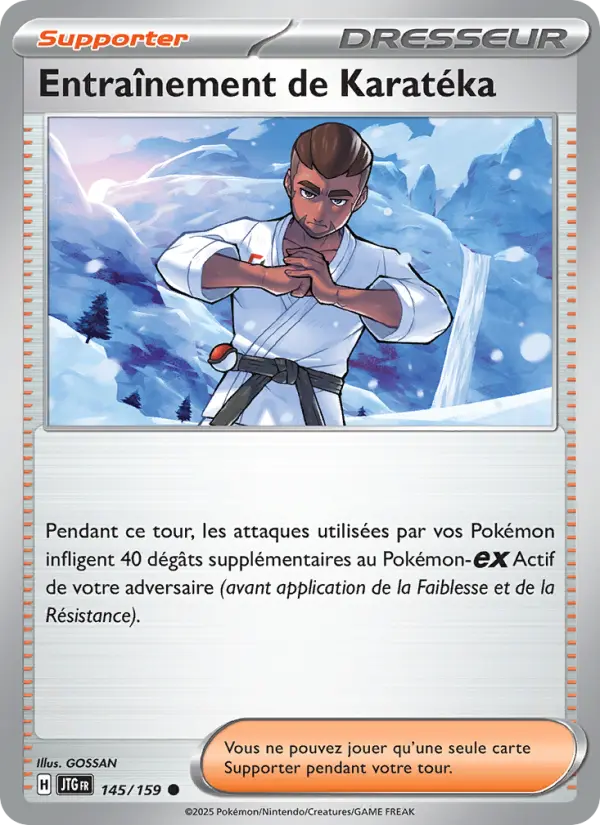 Scan HD carte Pokémon Entraînement de Karatéka 145/159 — Aventures Ensemble