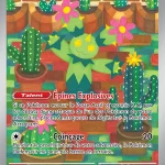 Maracachi 160 — Aventures Ensemble