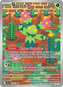 Maracachi 160 — Aventures Ensemble
