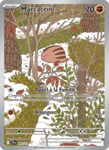 Marcacrin 165 — Aventures Ensemble