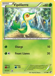 Carte Pokémon Vipélierre 1/114