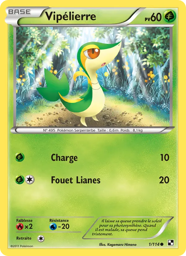Scan HD carte Pokémon Vipélierre 1/114 — Noir & Blanc